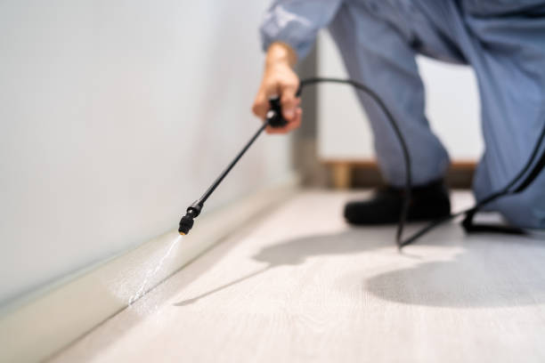 Licensed Termite Control service in Franklin, NC - Nex Pest Control