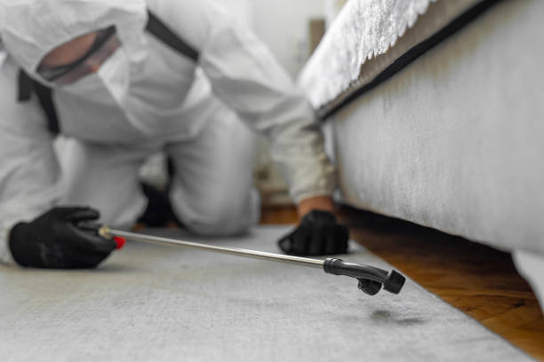Professional Termite Control technician working in Franklin, NC