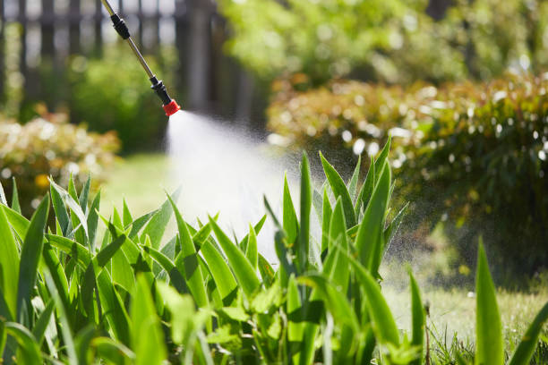 24/7 Emergency Termite Control experts in Franklin, NC