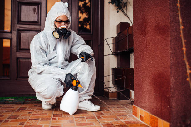 Reliable Termite Control contractor in Franklin, NC by Nex Pest Control