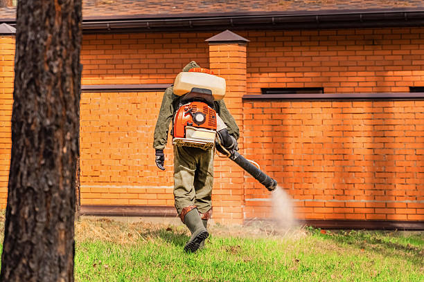 Top rated local Termite Control specialists in Franklin, NC